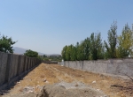 زمین