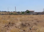زمین