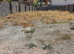 زمین