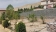 1040متر چهاردیواری قدیمی4